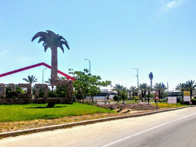 להבים. צילום: שרון טל
