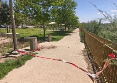 קרדיט: תוכן גולשים ע"פ סעיף 27א'
