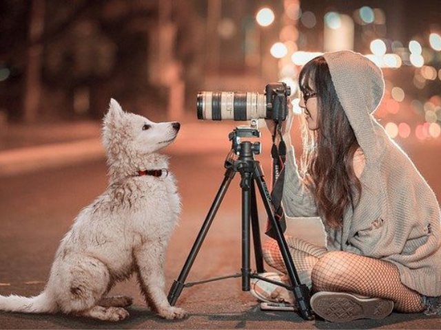 pixbay