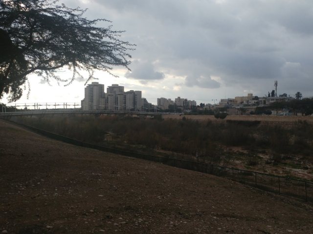 מזג אוויר סוער | צילום: שרון טל