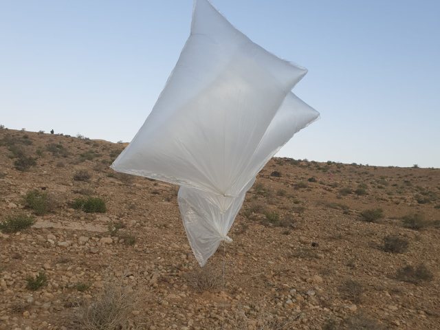 צילום באדיבות משטרת ישראל 